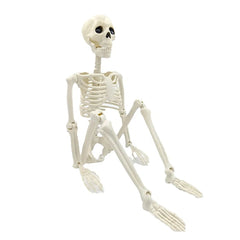 Halloween Decorations Skeleton,3 Foot Posable Human Shape Skeleton,Halloween Fake Bone Horror Decoration - thumbnail 1