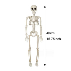 Halloween Decorations Skeleton,3 Foot Posable Human Shape Skeleton,Halloween Fake Bone Horror Decoration - thumbnail 7