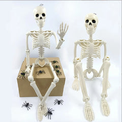 Halloween Decorations Skeleton,3 Foot Posable Human Shape Skeleton,Halloween Fake Bone Horror Decoration - thumbnail 2