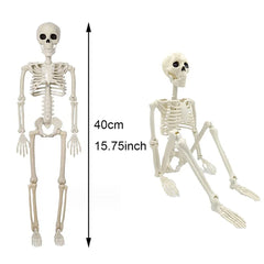 Halloween Decorations Skeleton,3 Foot Posable Human Shape Skeleton,Halloween Fake Bone Horror Decoration - thumbnail 4